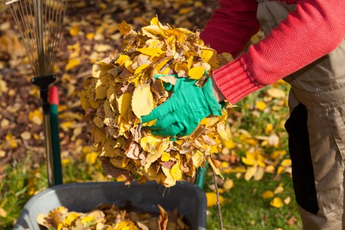 Sorting various types of builders waste